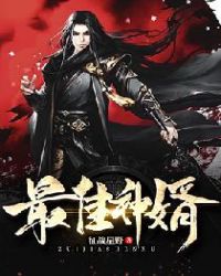 最佳女婿免费阅读
